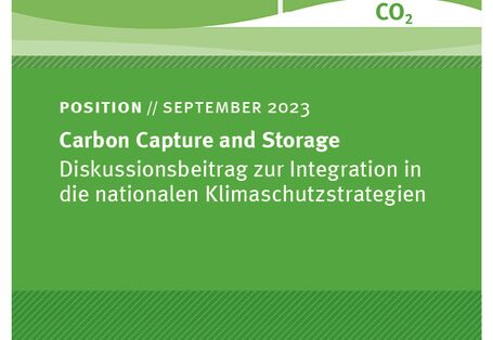 Cover des Hintergrundpapiers Carbon Capture and Storage