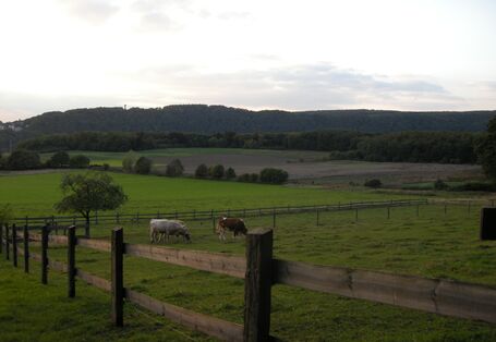 Foto: Blick vom Kaiserberg