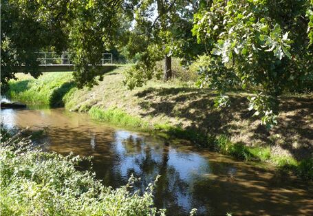 Kanäle durchziehen die Auenlandschaft(Bild)