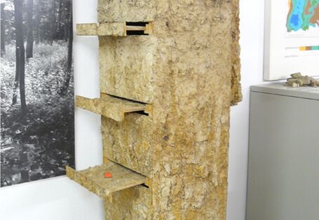 Foto eines Bodenkastens im Institut für Bodenkunde