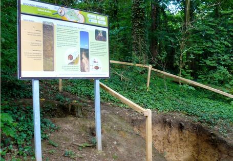 Foto eines Bodenprofils mit Infotafel