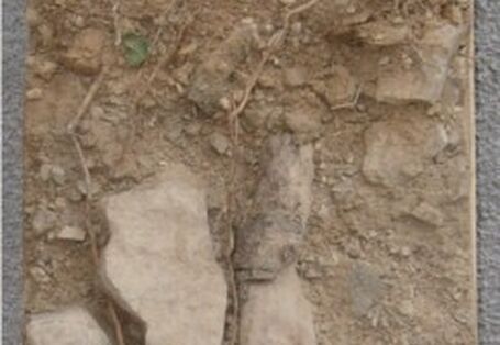 Foto eines präparierten Bodenprofisl aus dem Ruhr Museum Essen