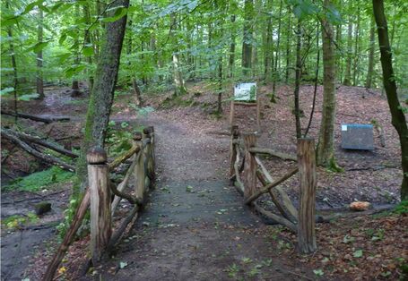 Foto des Bodenerlebnispfades