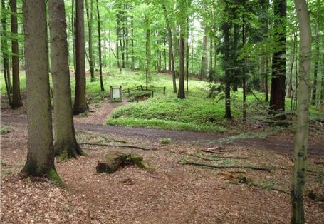 Foto der Landschaft des Lehrpfades