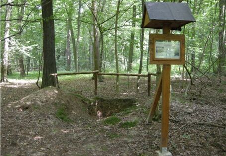 Foto der Profilgrube mit Infotafel