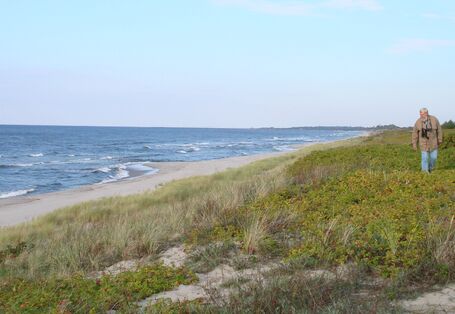 Фотография дюн на Куршской косе