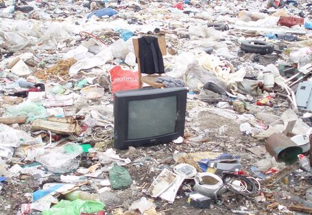 Фотография одного из полигонов Калининградской области