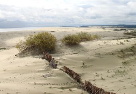 Bild weitläufiger Dünen auf der Kurischen Nehrung