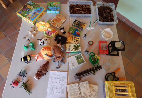 Probenbehälter, Beobachtungshilfen Bestimmungsschlüssel  und   Anschauungsmodelle zum Entdecken von Tieren auf und im Boden 