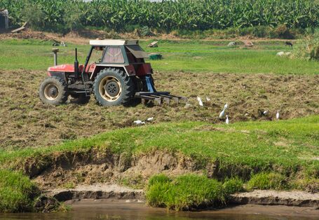 Foto: Im Vordergrund Fließgewässer mit deutlich erkennbarer Ufererosion. Direkt dahinter ein Traktor, der ein Feld bearbeitet.
