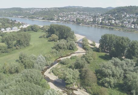 Luftbild der Ahrmündung. Im Vordergrund ist die Ahr mit mehreren Nebenarmen zu erkennen. An den Ufern finden sich viele Kiesbänke und Gehölze. Im Hintergrund liegt der Rhein mit mehreren Siedlungen.