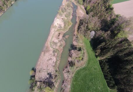Luftbild des Inns mit Altwasserarm bei Thalham.