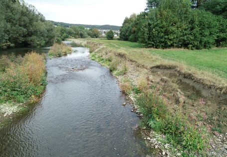 Foto: Ein naturnahes Ufer mit Ufererosion an der renaturierten Ruhr bei Oeventrop