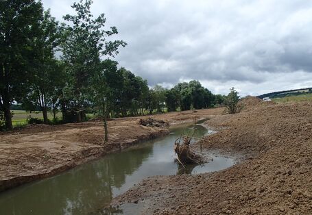 Foto: Die Wern mit deutlichen Spuren der kurz zuvor beendeten Baumaßnahmen. Die Ufer bestehen noch aus offenem Boden und sind frei von Vegetation. Im Gewässer liegt ein in die Sohle eingebauter Wurzelstock.