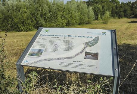 Foto: Eine Schautafel mit einer Karte der Bauabschnitte IV und V der Wernrenaturierung bei Geldersheim, Fotos und erläuterndem Text. Im Hintergrund gemähte Wiese und Gehölze.