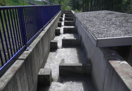 Foto: Eine technische Wanderhilfe aus Beton mit strömungsberuhigten Zonen für den Aufstieg und Abstieg von Lebewesen.