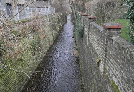 Foto: Der begradigte Godesberger Bach in Bonn, der an beiden Seiten mit über 3 m hohen Mauern eingefasst ist. 