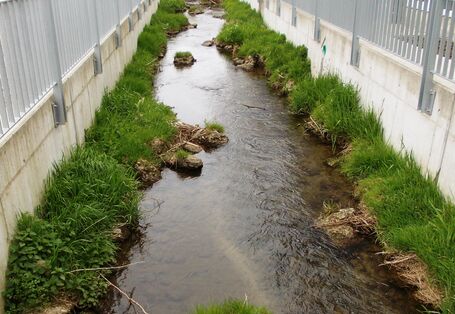 Foto: Ein Bach verläuft eingeengt zwischen zwei Betonwänden. Ein kleines Ufer trennt das Gewässer von der Betonmauer und bietet etwas Struktur über Verengungen, Weitungen und kleinen Gabelungen. Die Ufer sind mit dichtem Gras bewachsen.