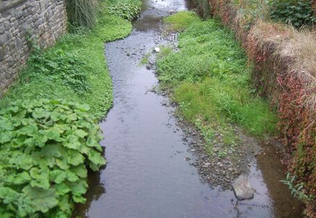 Foto: Bach mit hohen Ufermauern und angrenzenden Häusern und Straßen in Ortslage. Die Gewässersohle ist offen, mit Kies bedeckt und stellenweise bewachsen. Der Bach verläuft leicht schwingend im Kastenprofil.