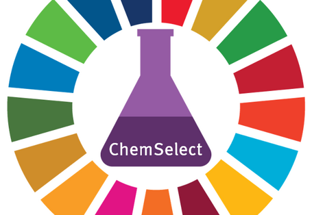 Das Logo von ChemSelect besteht aus einem Erlenmeyerkolben der von einem Kreis aus 17 "Tortenelementen" umgeben ist, die die 17 Sustainable Development Goals der Agenda 2023 symbolisieren