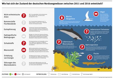Infografik: Zustand der deutschen Nordseegewässer