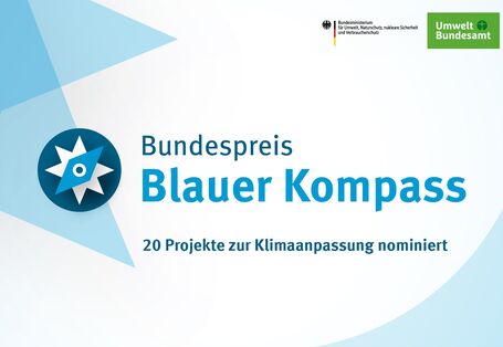Grafik "Blauer Kompass"