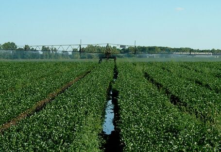 Wasserwiederverwendung mit möglichen Risiken für die Umwelt und die menschliche Gesundheit einher