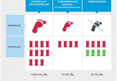 Infografik: Vermeiden - Reduzieren - Kompensieren