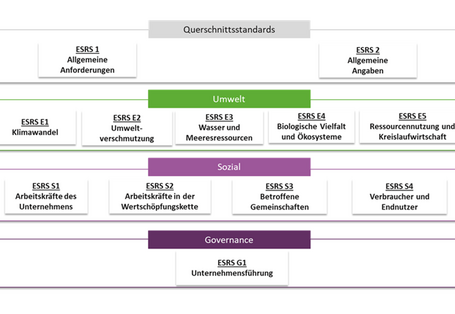 Schaubild: Die Entwürfe umfassen 4 Bereiche: Übergreifende Standards, Umwelt, Soziales und Governance.