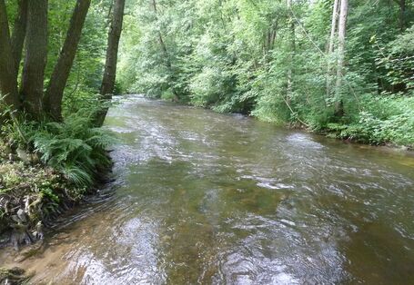 Foto des Flusses Ruwer