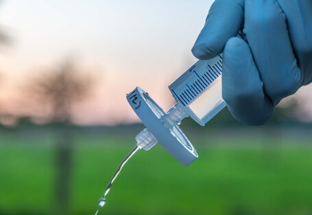 Bild einer Gewässerprobe