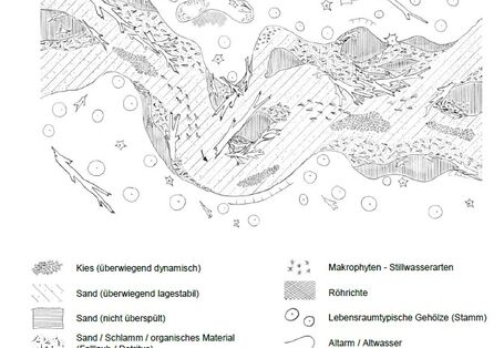 Skizze des Habitats des sandigen Tieflandbachs