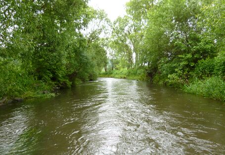 Foto des Flusses Kyll