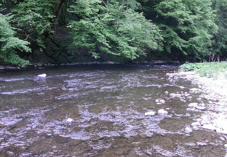 Foto des Flusses Lieser