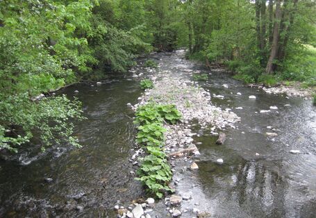 Foto des Flusses Nister