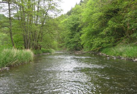 Foto des Flusses Our