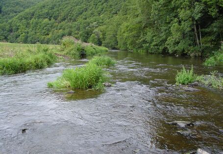 Foto des Flusses Prüm