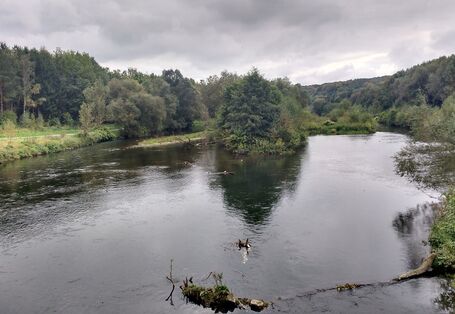Foto des Flusses Ruhr