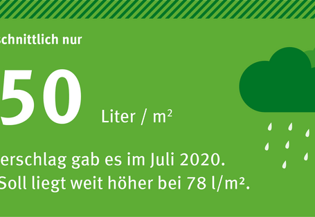 Auf der Grafik sieht man eine Wolke mit Nieselregen und es ist vermerkt, dass es im Juli 2020 nur 50 Liter pro Quadratmeter Niederschlag gab. Das ist viel weniger, als nötig.