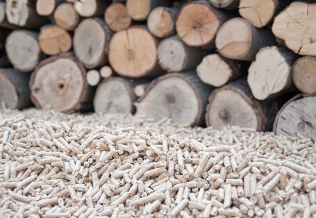 Pellets vor Baumstämmen