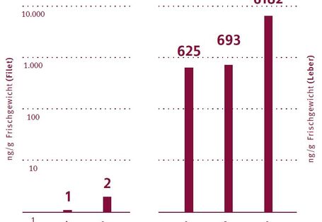 Balkengrafik mit PFOS-Gehalten.