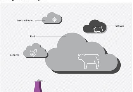 Wolkengrafik Treibhausgasemissionen insektenbasierten Fleischersatzes im Vergleich