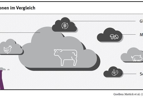 Wolkengrafik Treibhausgasemissionen pflanzlicher Fleischersatzstoffe im Vergleich