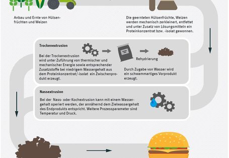 Typischer Herstellungsprozess pflanzenbasierter Fleischalternativen