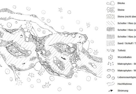 Gezeichnete Skizze, die eine hydromorphologische Idealstruktur eines Fließgewässers vom Typ 5 zeigt. Entlang des Ufers finden sich lebensraumtypische Gehölze, Wurzelballen und Totholz. Die Gewässersohle prägt Schotter und Kies. Mehrere Schotter- und Kiesbänke liegen im und am Gewässer, die teilweise überspült werden beziehungsweise teilweise Inseln bilden, die vom Gewässer umflossen werden. Makrophyten wie zum Beispiel Wassermoose und Totholz tragen zur hohen Strukturvielfalt im Gewässer bei.