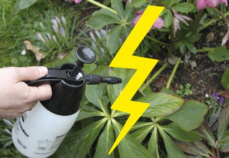 Einsatz von Insektizid mit einem Blitz 