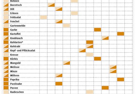Im Boden des Nutzgartens enthaltene Nährstoffe werden optimal ausgeschöpft, wenn Starkzehrer, Mittelzehrer und Schwachzehrer nacheinander angebaut werden. Diese Tabelle dient zur Orientierung für den Nährstoffbedarf der jeweiligen Pflanzenfamilie