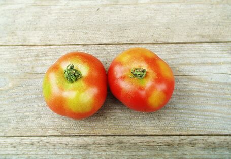 2 Tomaten mit Grünkragen auf hölzernem Untergrund