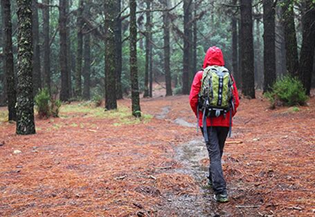 Ein Mensch läuft durch den Wald. Dabei ist sein Rücken zum Betrachter gerichtet.