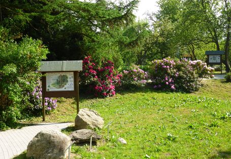 Blick auf Infotafel "Ohne Wald geht es nicht, sonst verlieren wir"